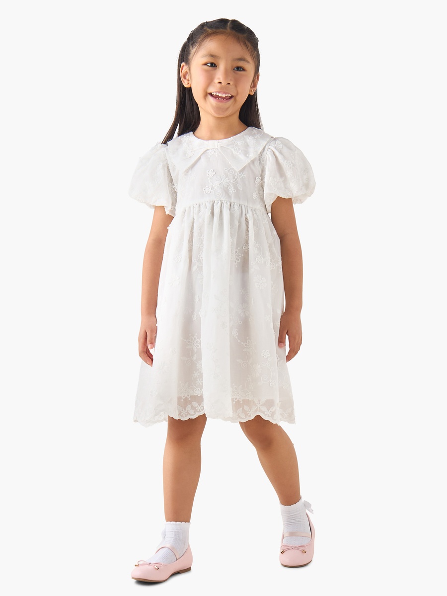 Peter Pan Collar Short Puff Sleeves A-Line Dress with Floral Embroidery