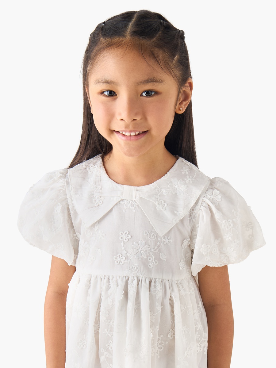 Peter Pan Collar Short Puff Sleeves A-Line Dress with Floral Embroidery