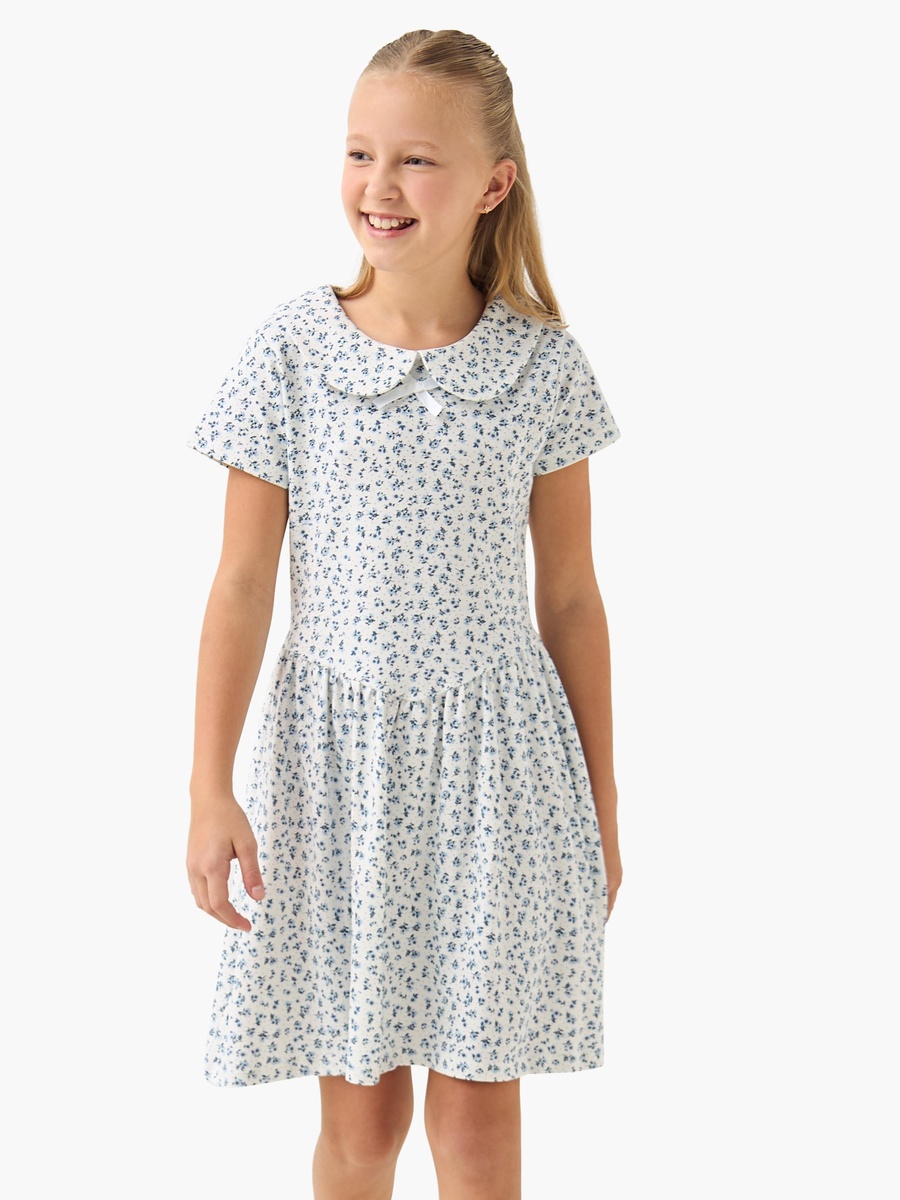 Peter Pan Collar Short Sleeve Dress with Floral Print