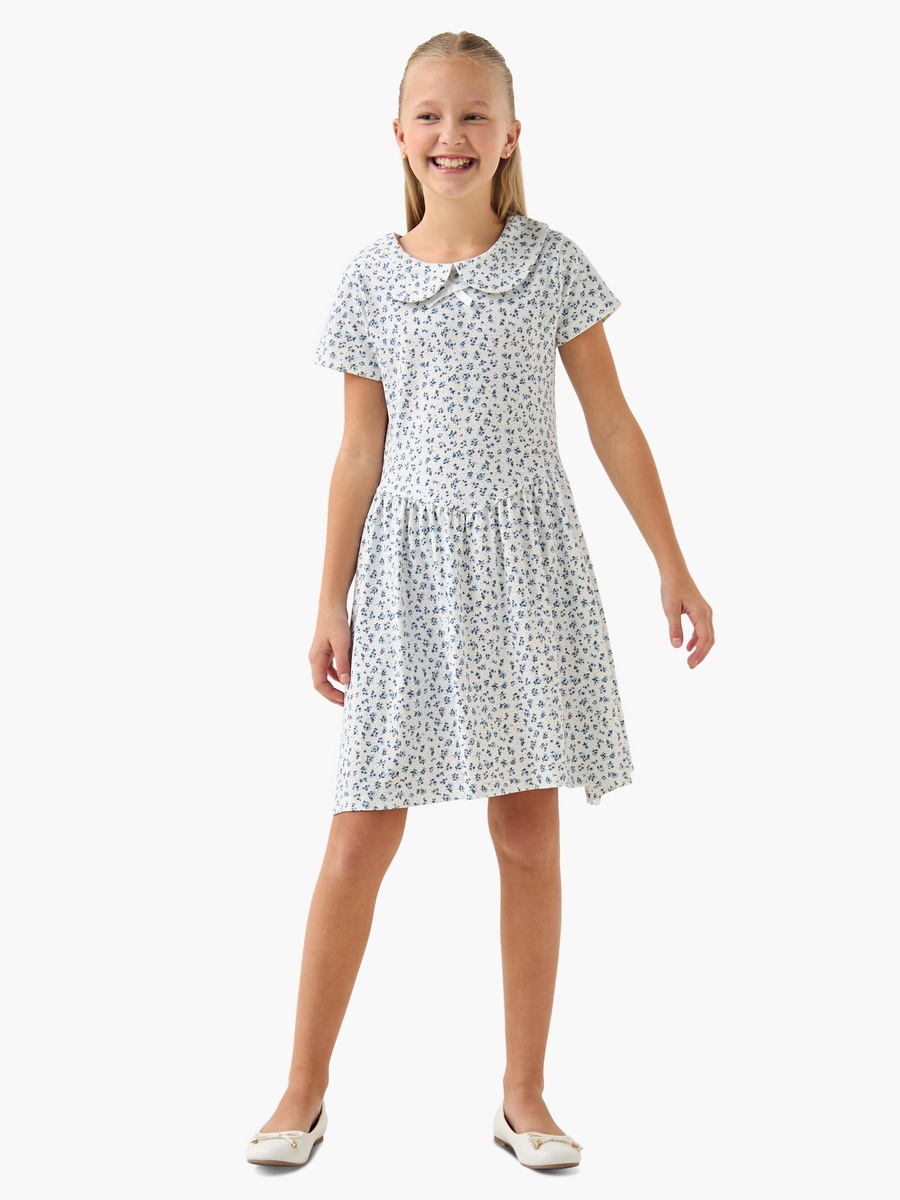 Peter Pan Collar Short Sleeve Dress with Floral Print