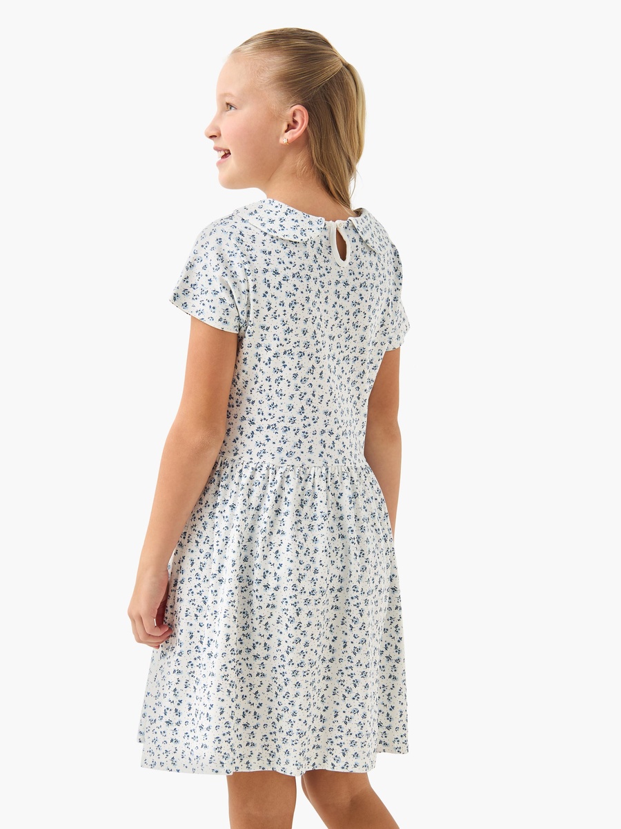 Peter Pan Collar Short Sleeve Dress with Floral Print