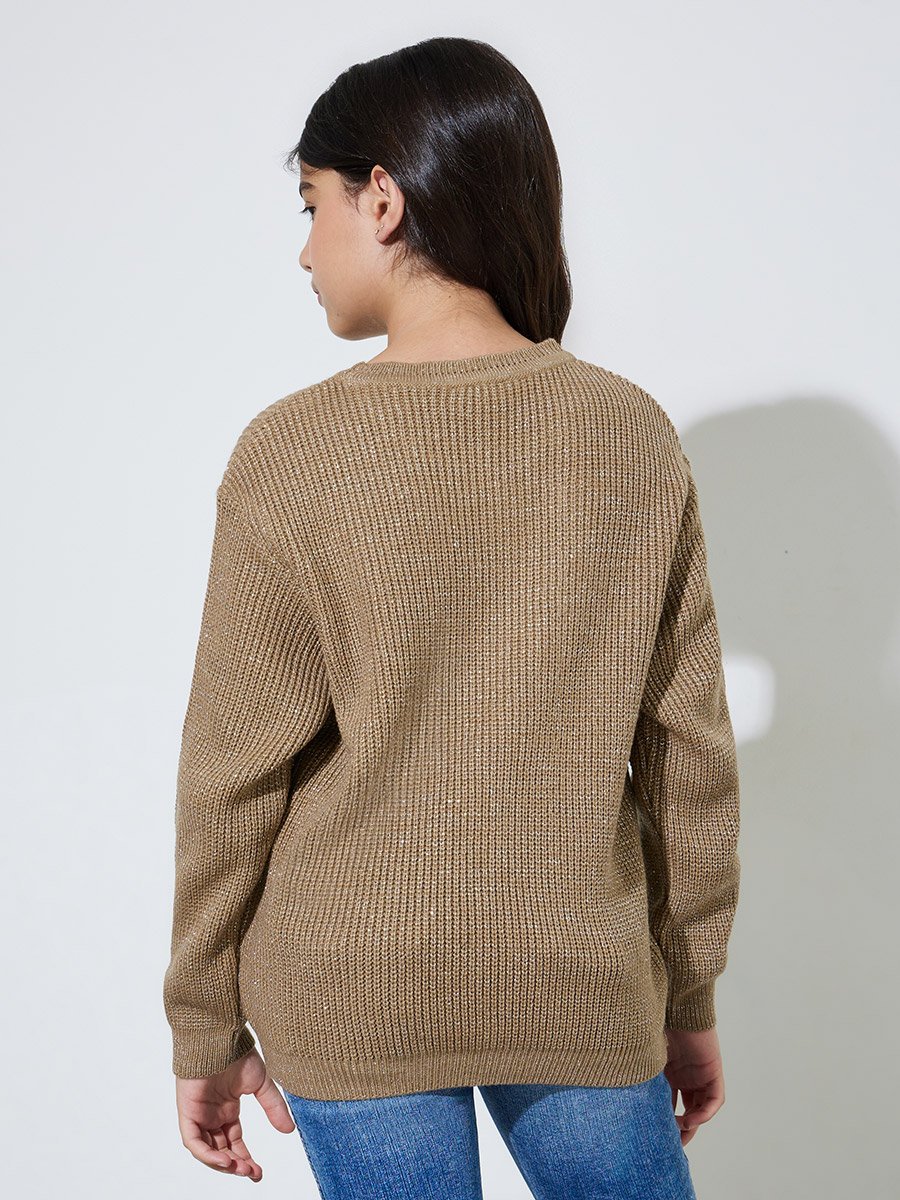 Teen Girls Beige Round neck Knit Jumper