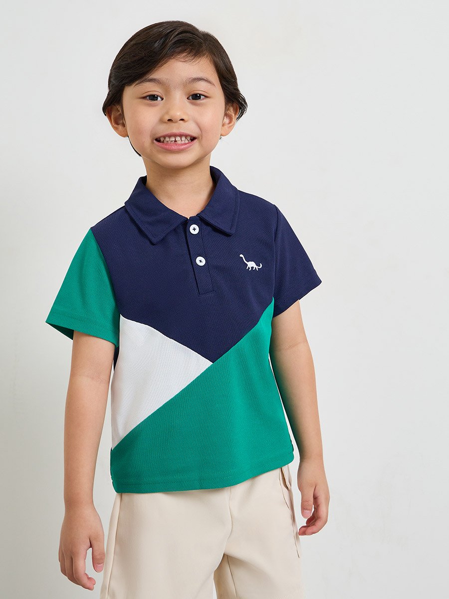 Boys Color Block Polo T-Shirt and Shorts Set