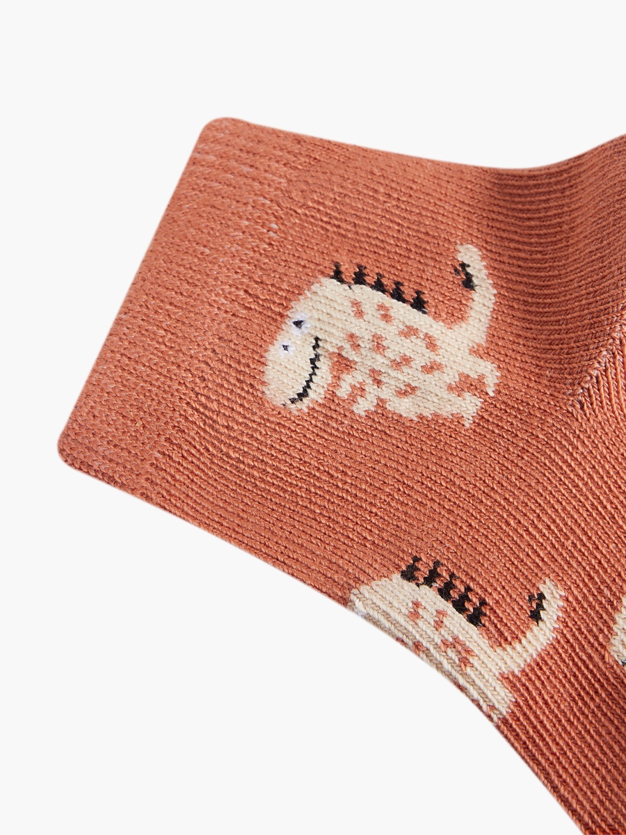 Pack of 7 Baby Boys Socks with Dinosaur Print