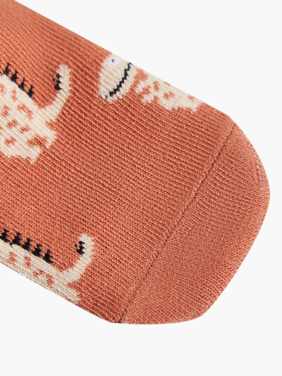 Pack of 7 Baby Boys Socks with Dinosaur Print