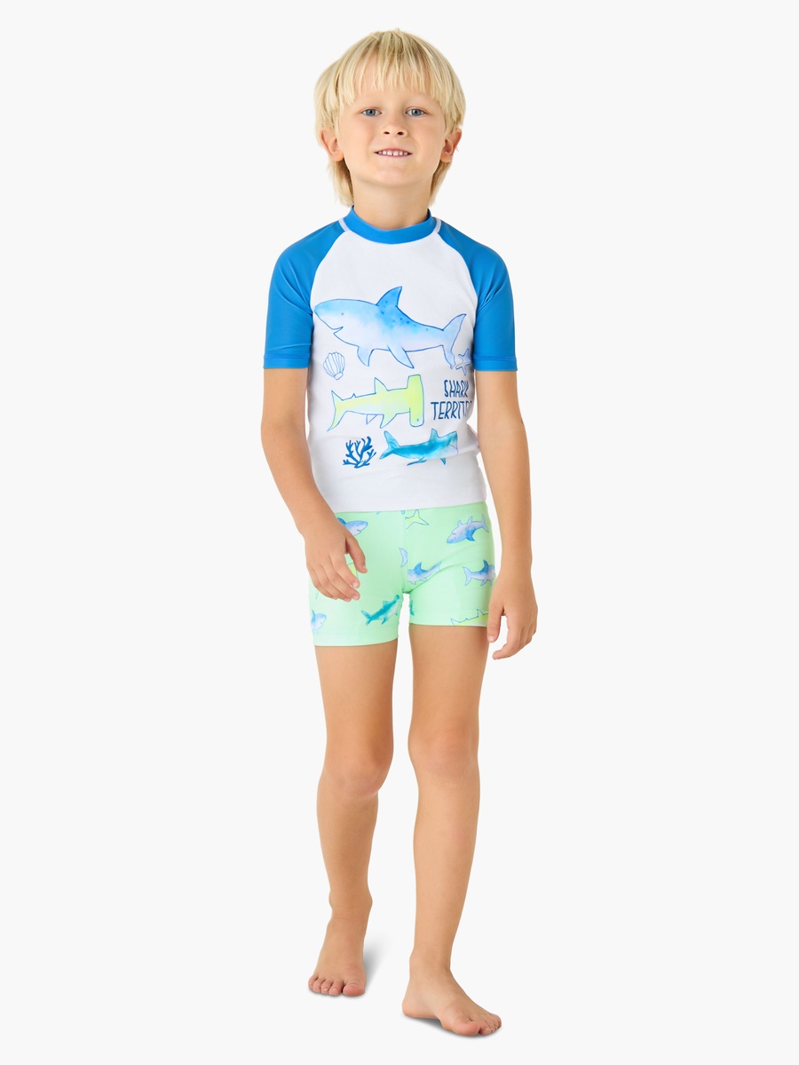 Crew Neck Short Sleeve Swim T-Shirt and Shorts Set with Shark Print
