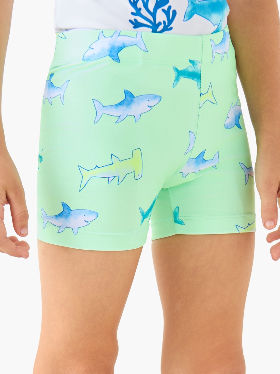 Crew Neck Short Sleeve Swim T-Shirt and Shorts Set with Shark Print