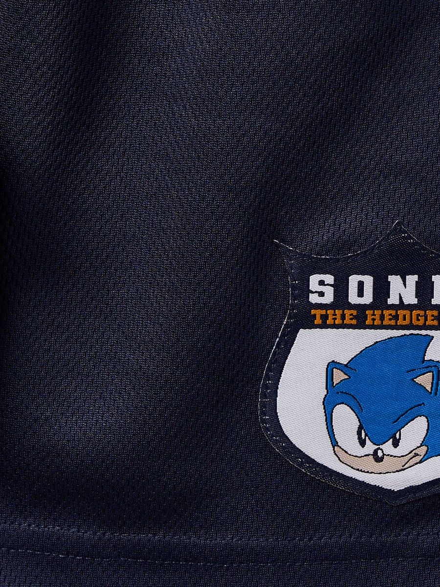 Crew Neck Short Sleeves T-Shirt and Shorts Set with Sonic the Hedgehog Print