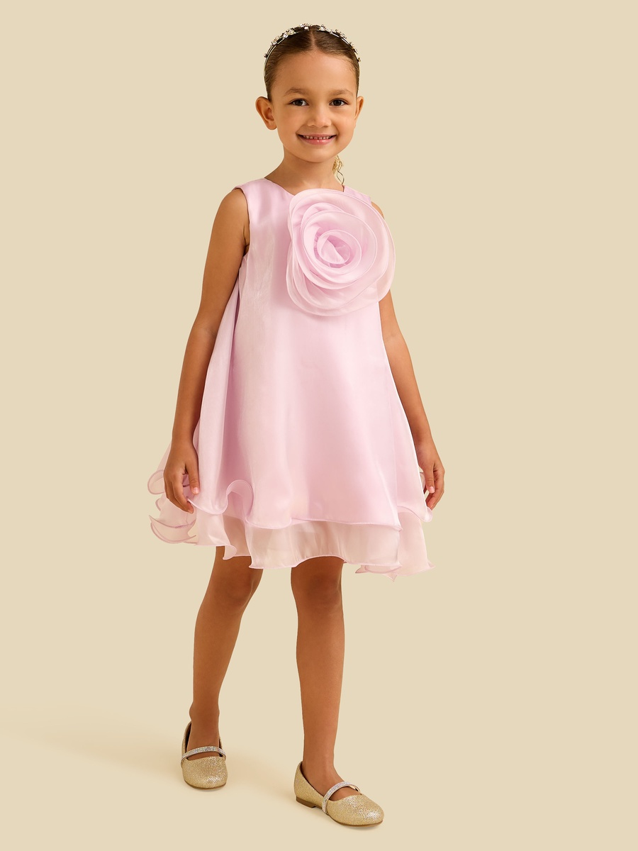 Round Neck Sleeveless Dress with Floral Applique