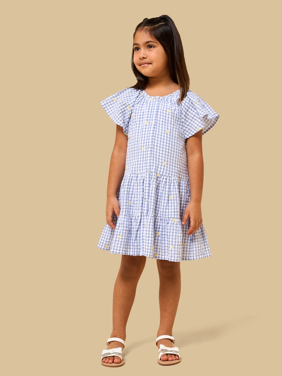 Checked Drop Waist Tiered Dress
