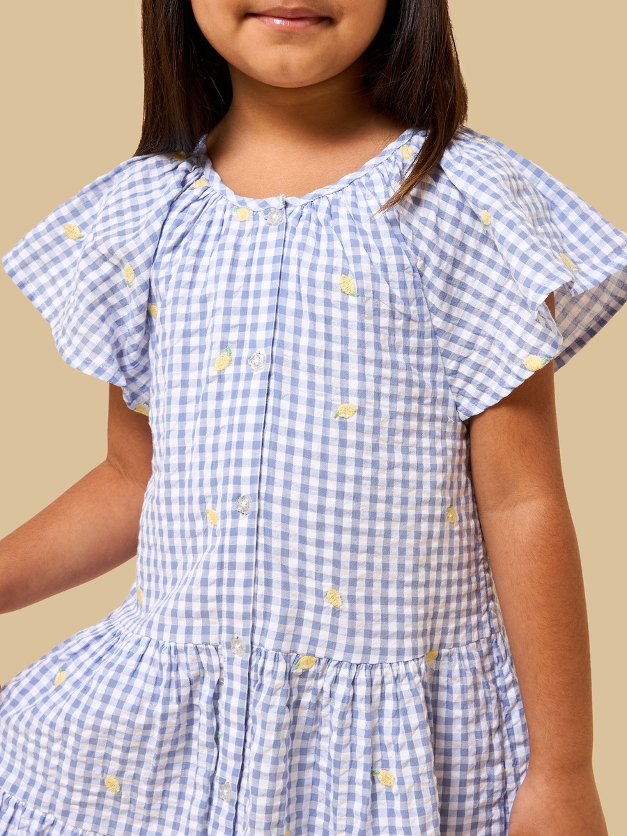 Checked Drop Waist Tiered Dress