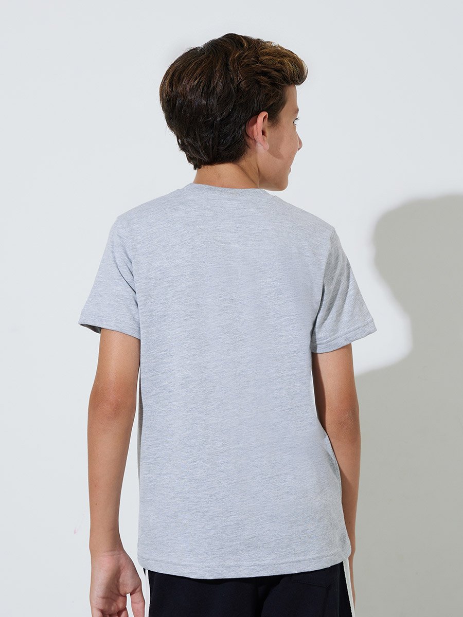 Teen Boys Grey Graphic Print Regular Fit T-Shirt