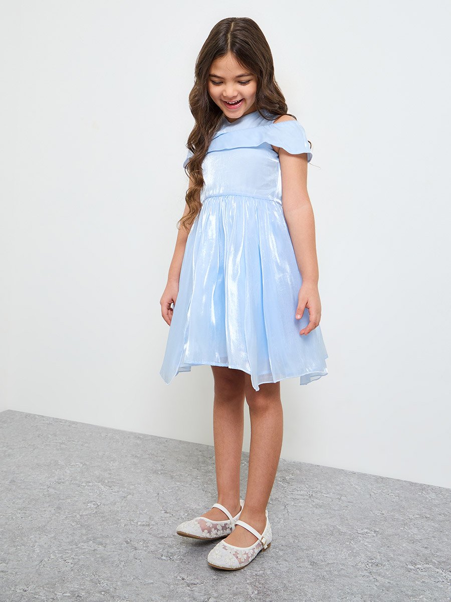 Girls A-Line Knee-Length Green Dress