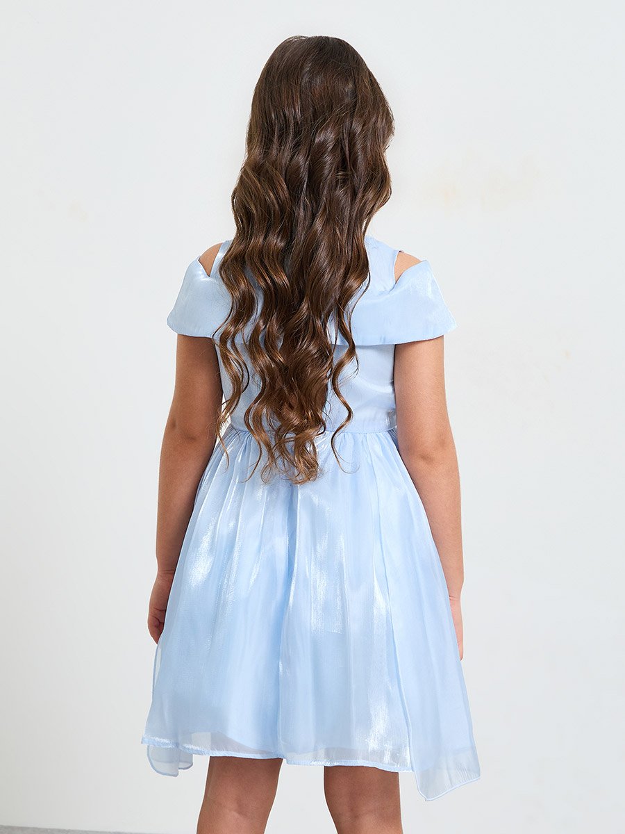 Girls A-Line Knee-Length Green Dress