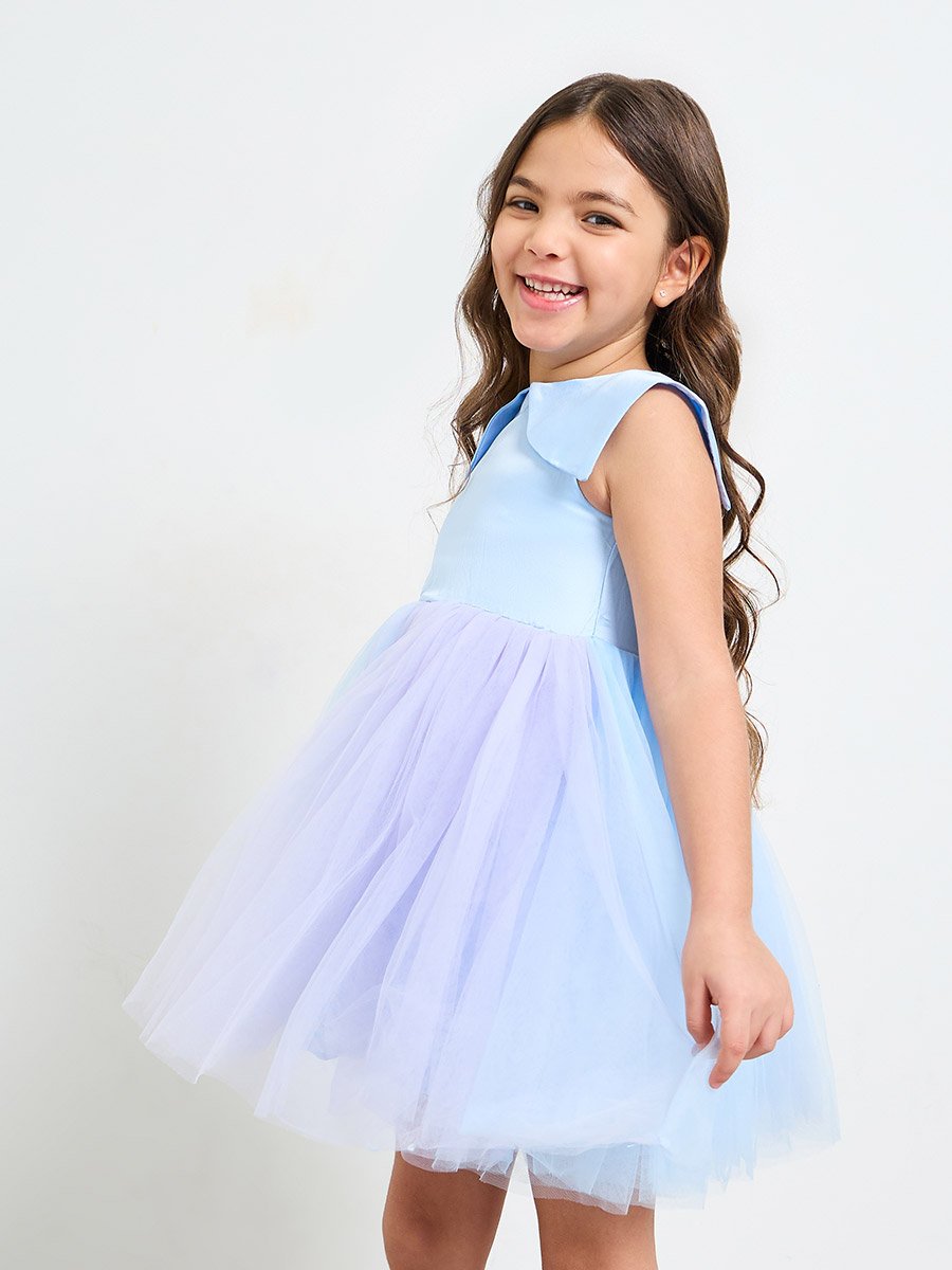 Girls A-Line Knee-Length Tulle Dress