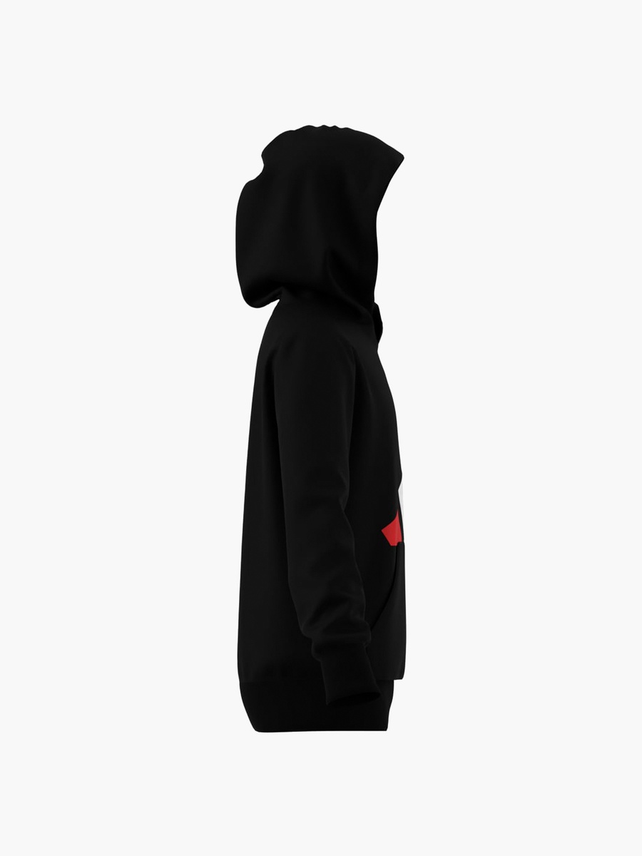 Boys Hooded Sweatshirt with Logo Print and Long Sleeves