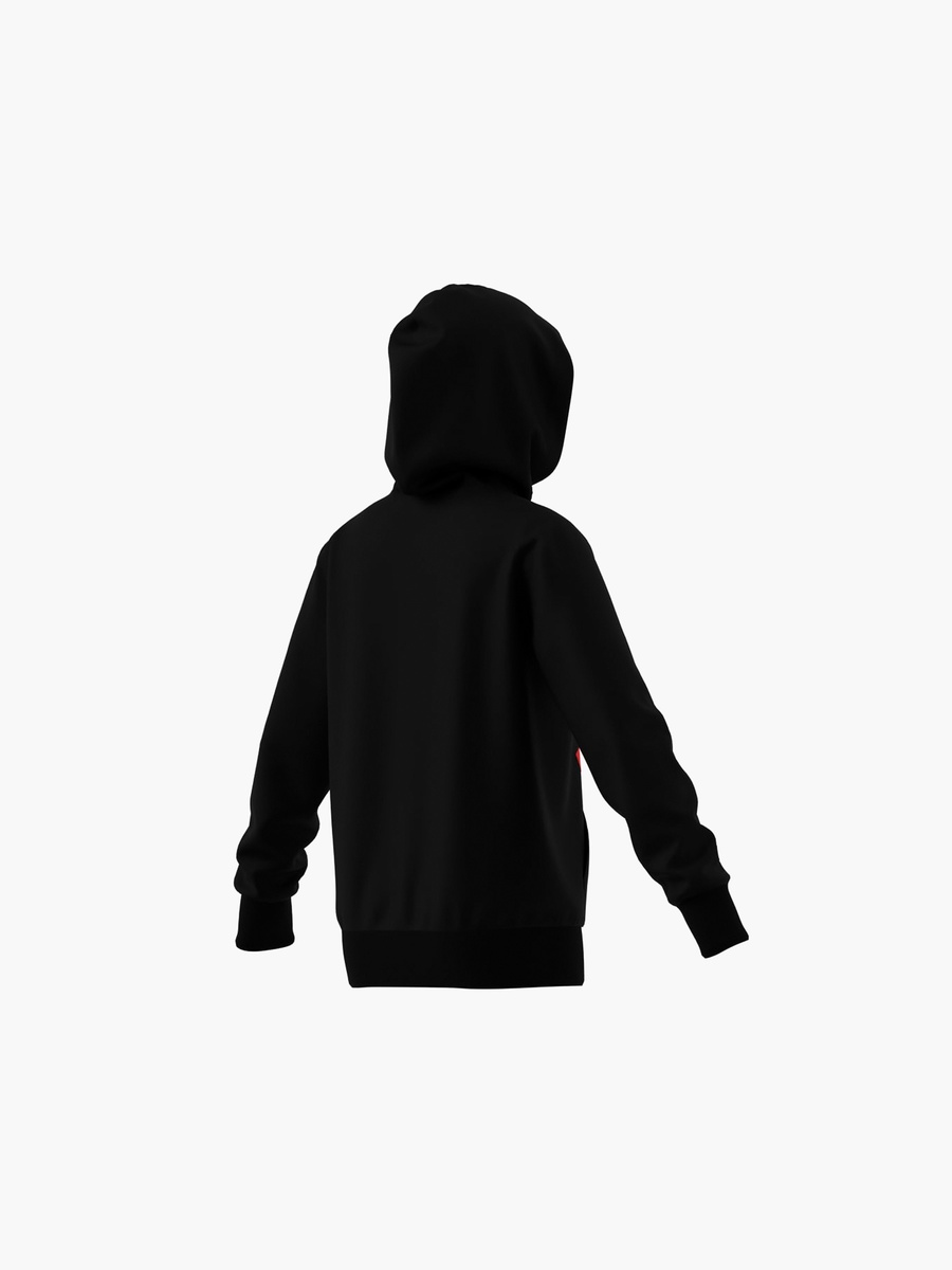Boys Hooded Sweatshirt with Logo Print and Long Sleeves