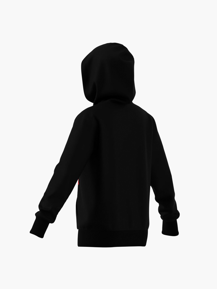 Boys Hooded Sweatshirt with Logo Print and Long Sleeves