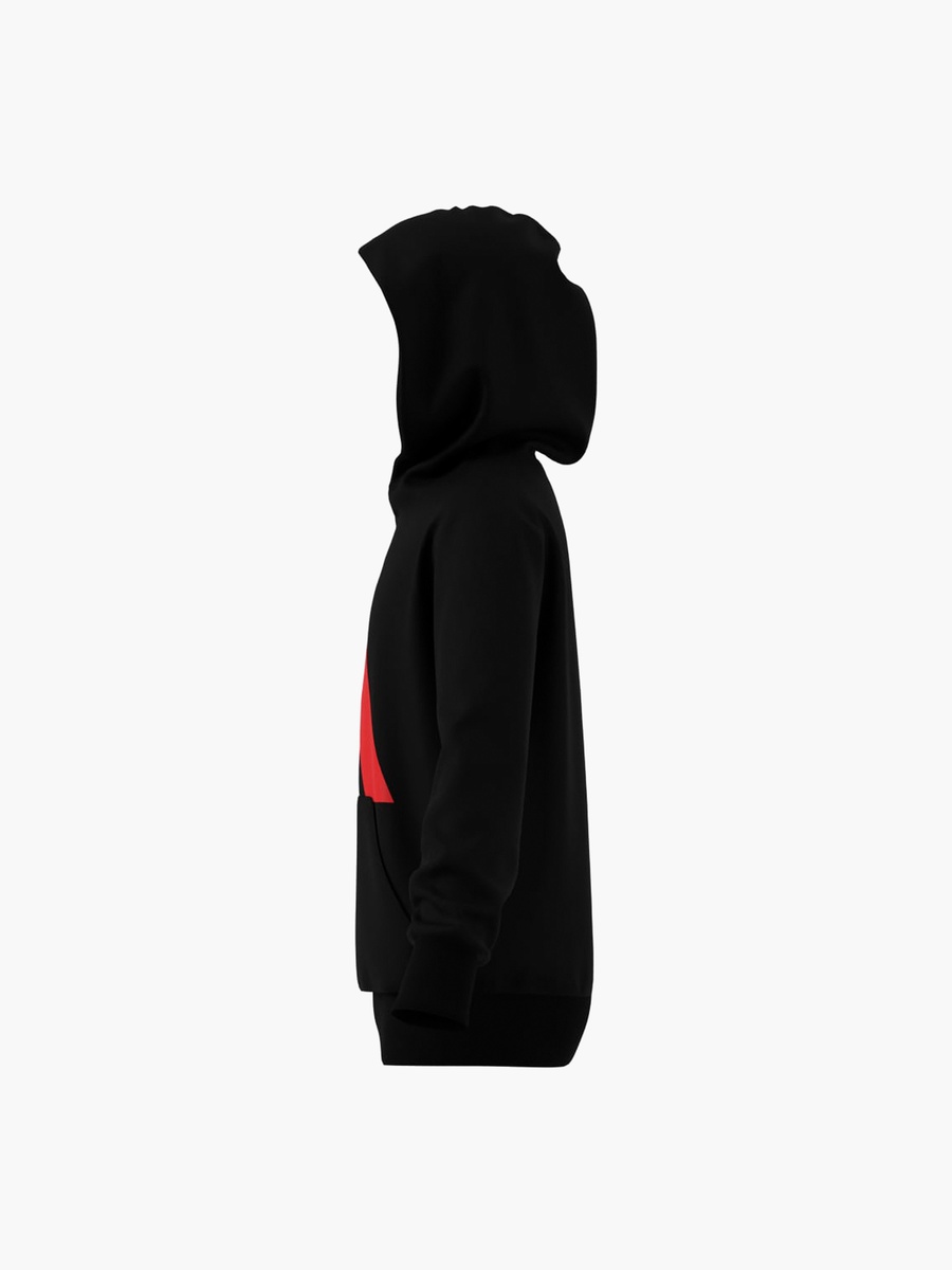 Boys Hooded Sweatshirt with Logo Print and Long Sleeves