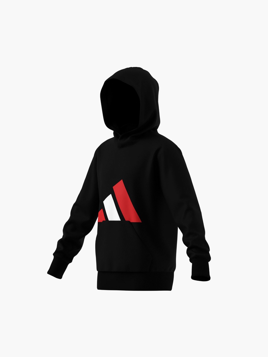 Boys Hooded Sweatshirt with Logo Print and Long Sleeves