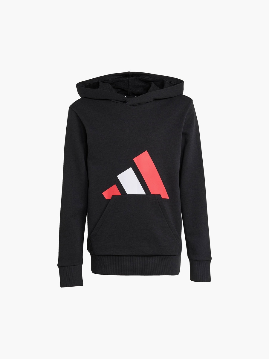 Boys Hooded Sweatshirt with Logo Print and Long Sleeves
