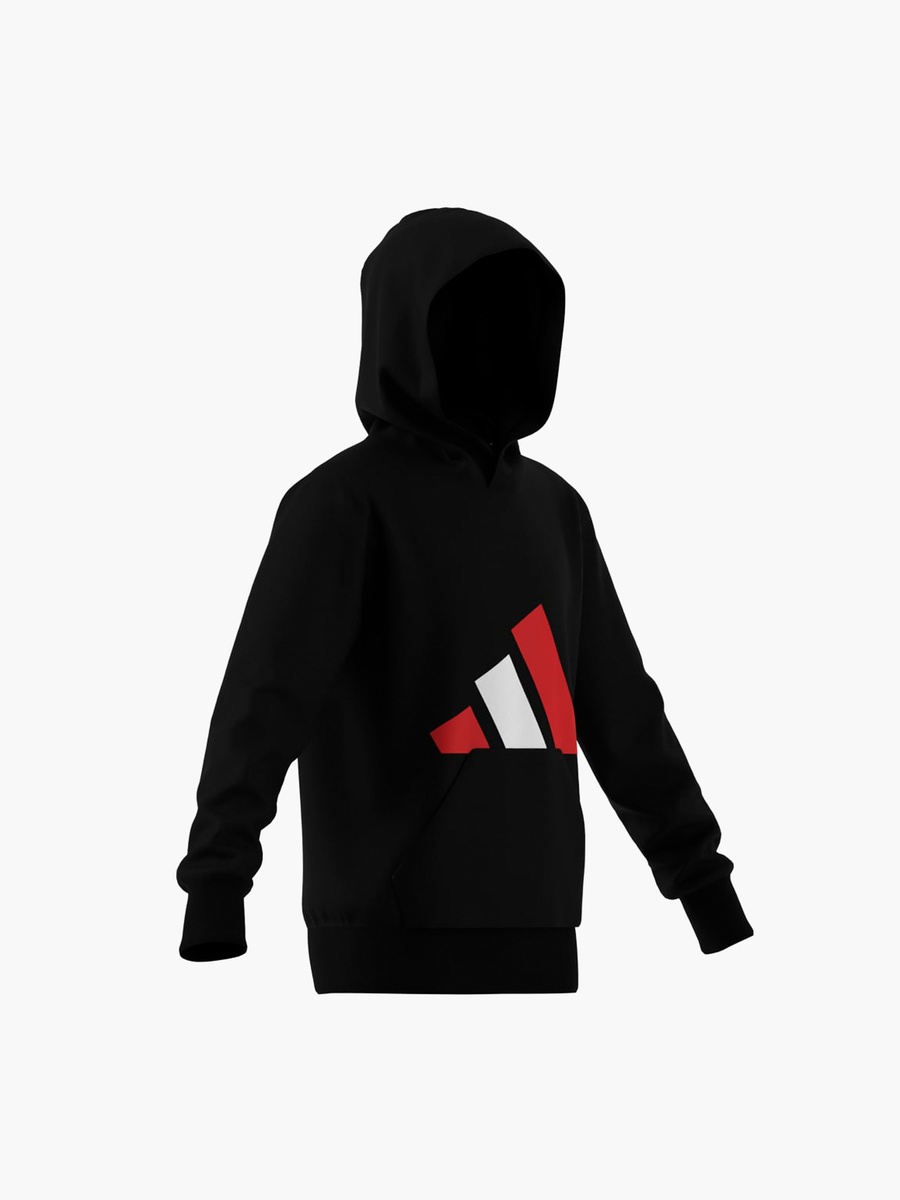 Boys Hooded Sweatshirt with Logo Print and Long Sleeves