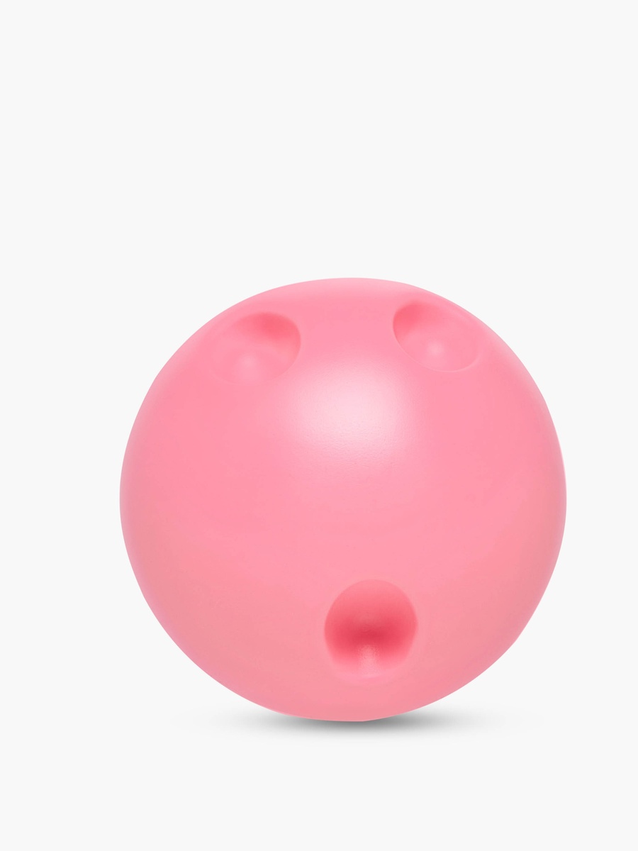 Animal Bowling Set