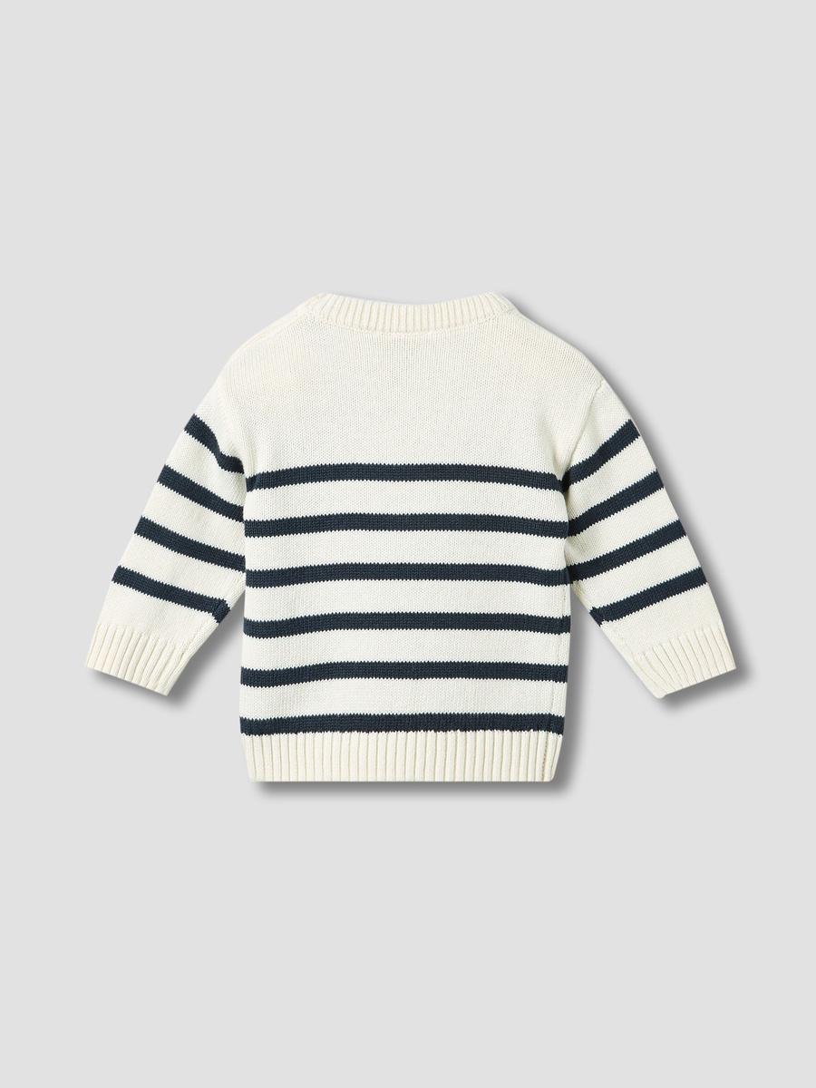 Striped Sweater with Long Sleeves