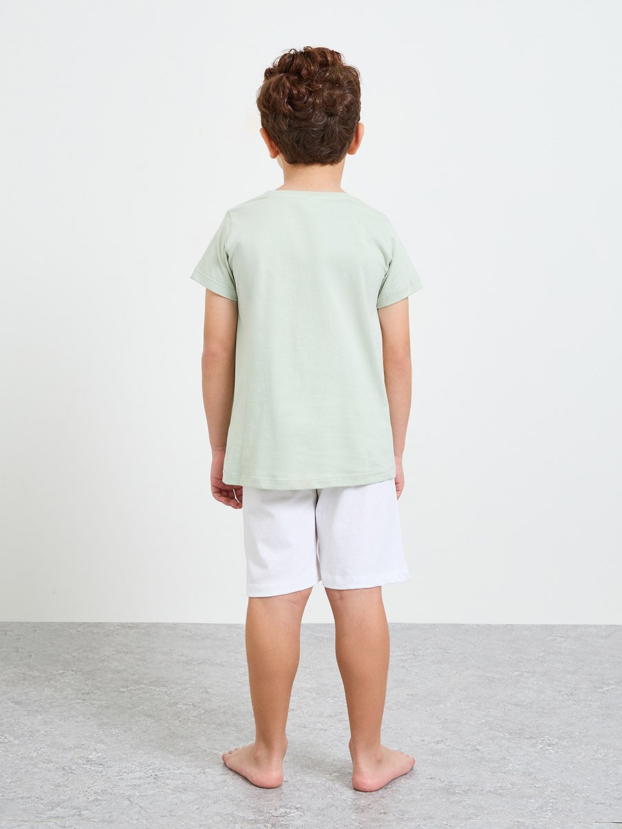 Boys Lion King Printed T-Shirt and Shorts Set