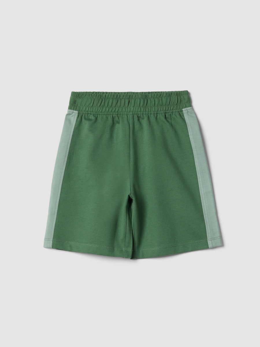 Kids Green Cotton Regular Fit Shorts