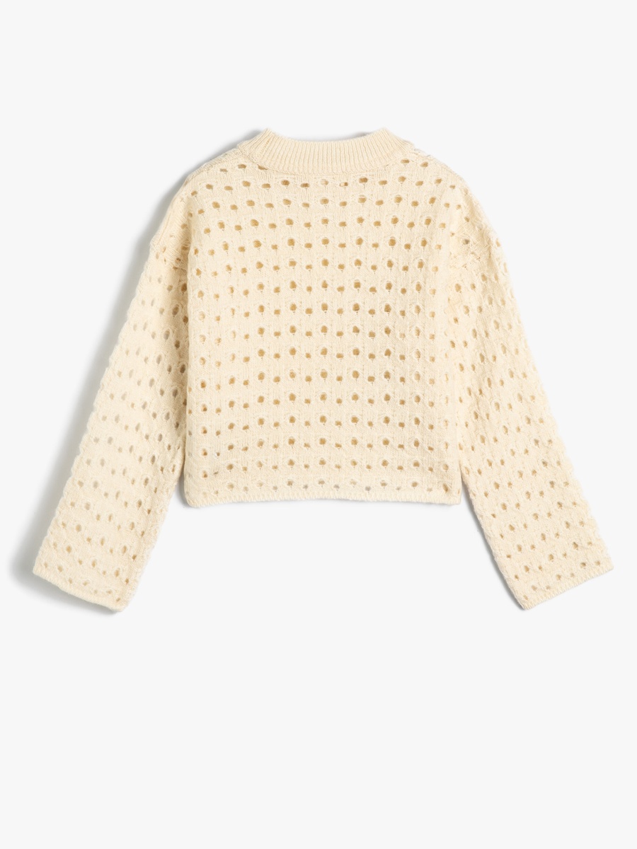 Open Knit Half Turtle Neck Sweater