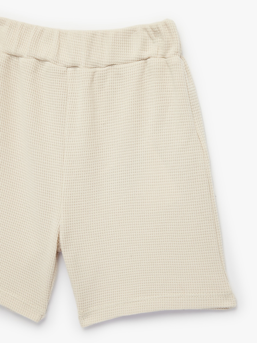 Solid Shorts with Elastic Waist