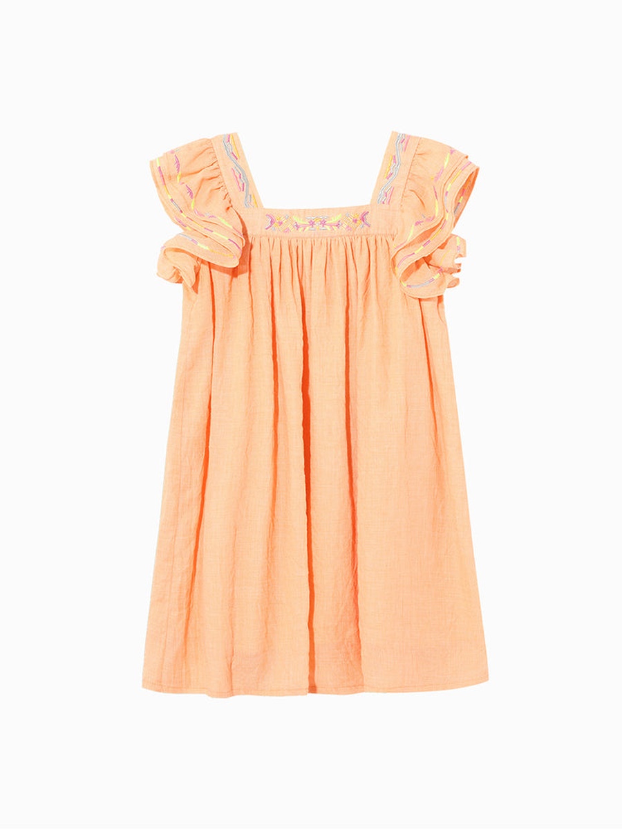 Girls Embroidered Ruffle Sleeve Dress