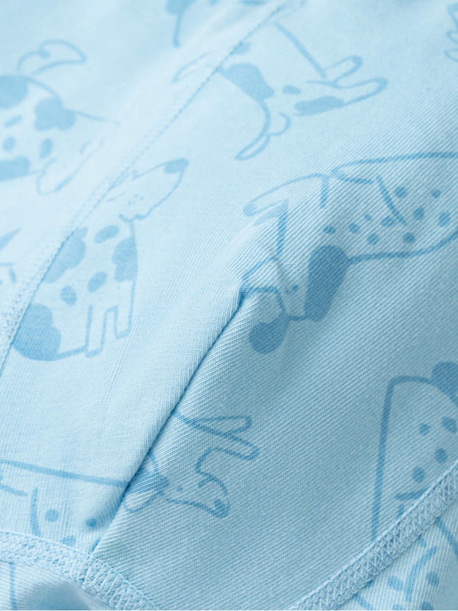 Boys Pack of 2 Printed Boxers