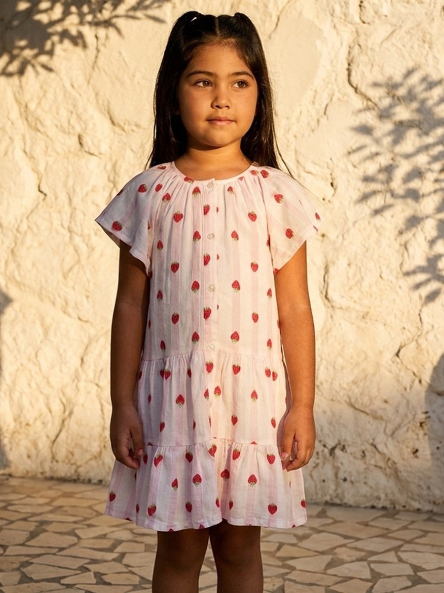 Strawberry Embroidered Drop Waist Tiered Dress