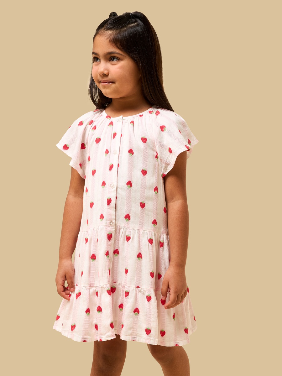 Strawberry Embroidered Drop Waist Tiered Dress