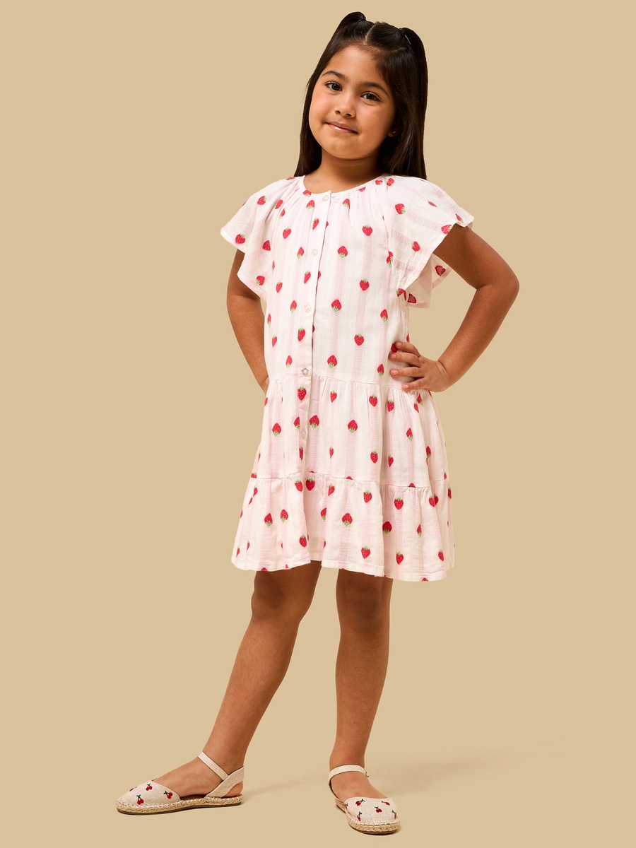 Strawberry Embroidered Drop Waist Tiered Dress