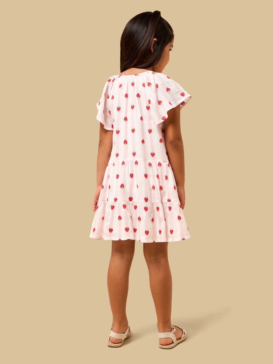 Strawberry Embroidered Drop Waist Tiered Dress