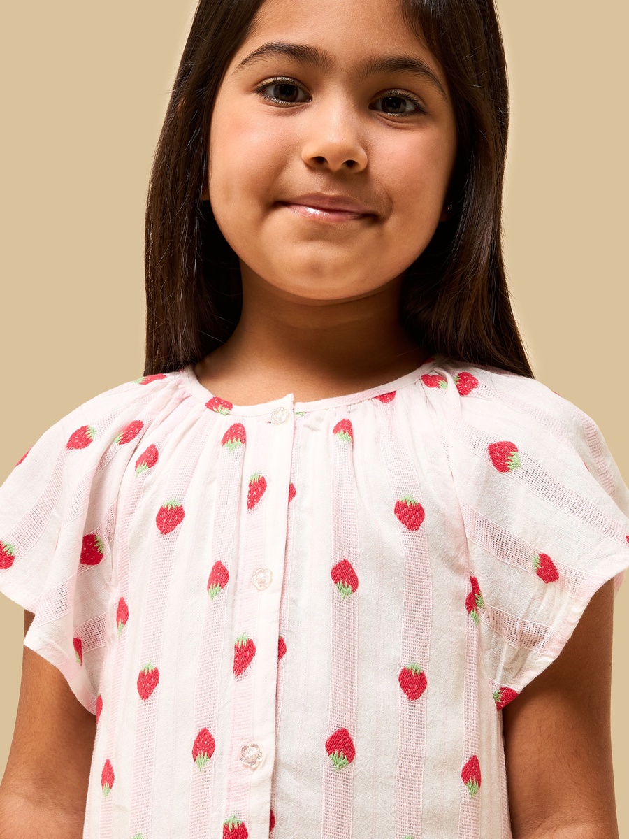 Strawberry Embroidered Drop Waist Tiered Dress