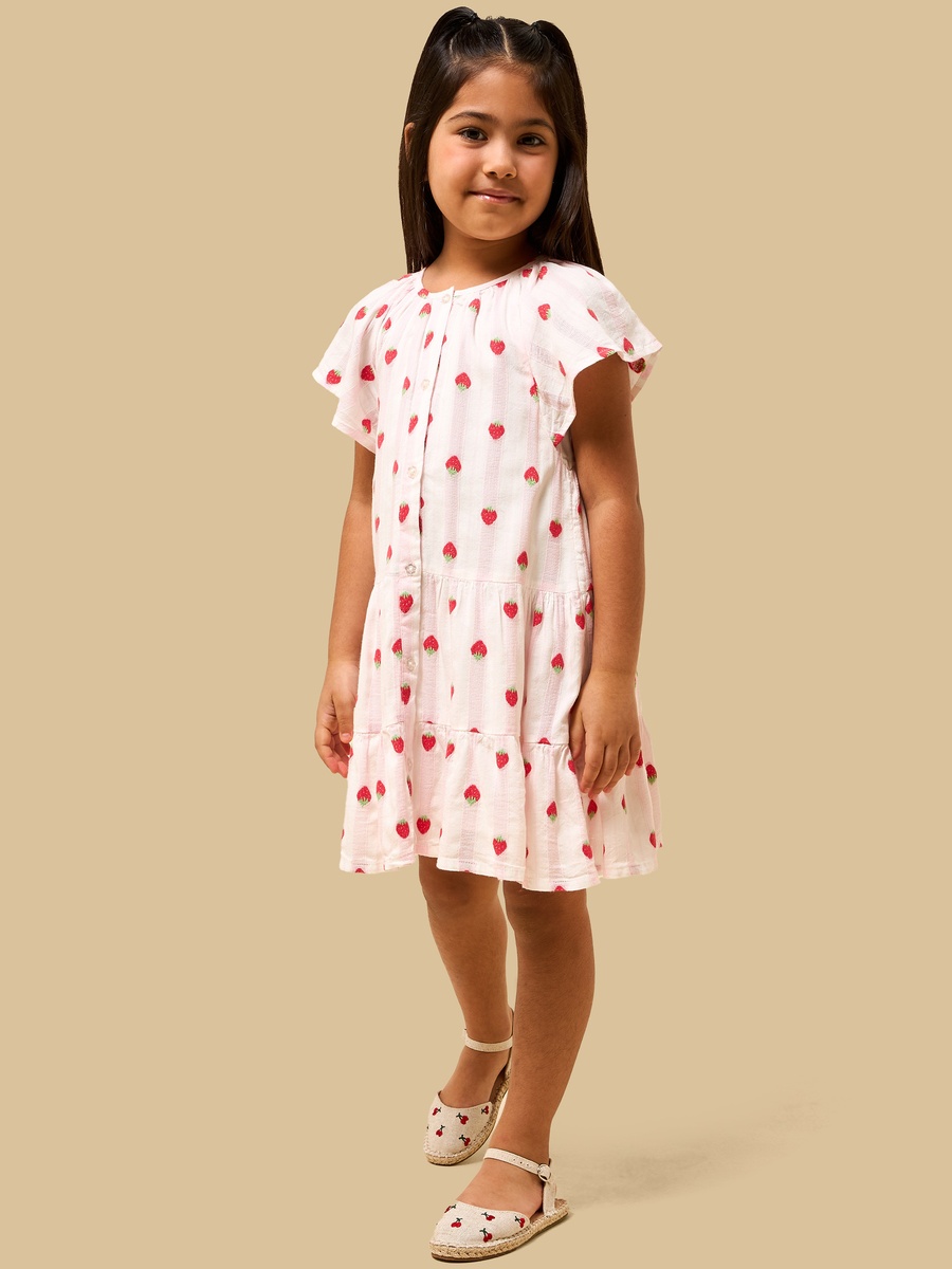 Strawberry Embroidered Drop Waist Tiered Dress