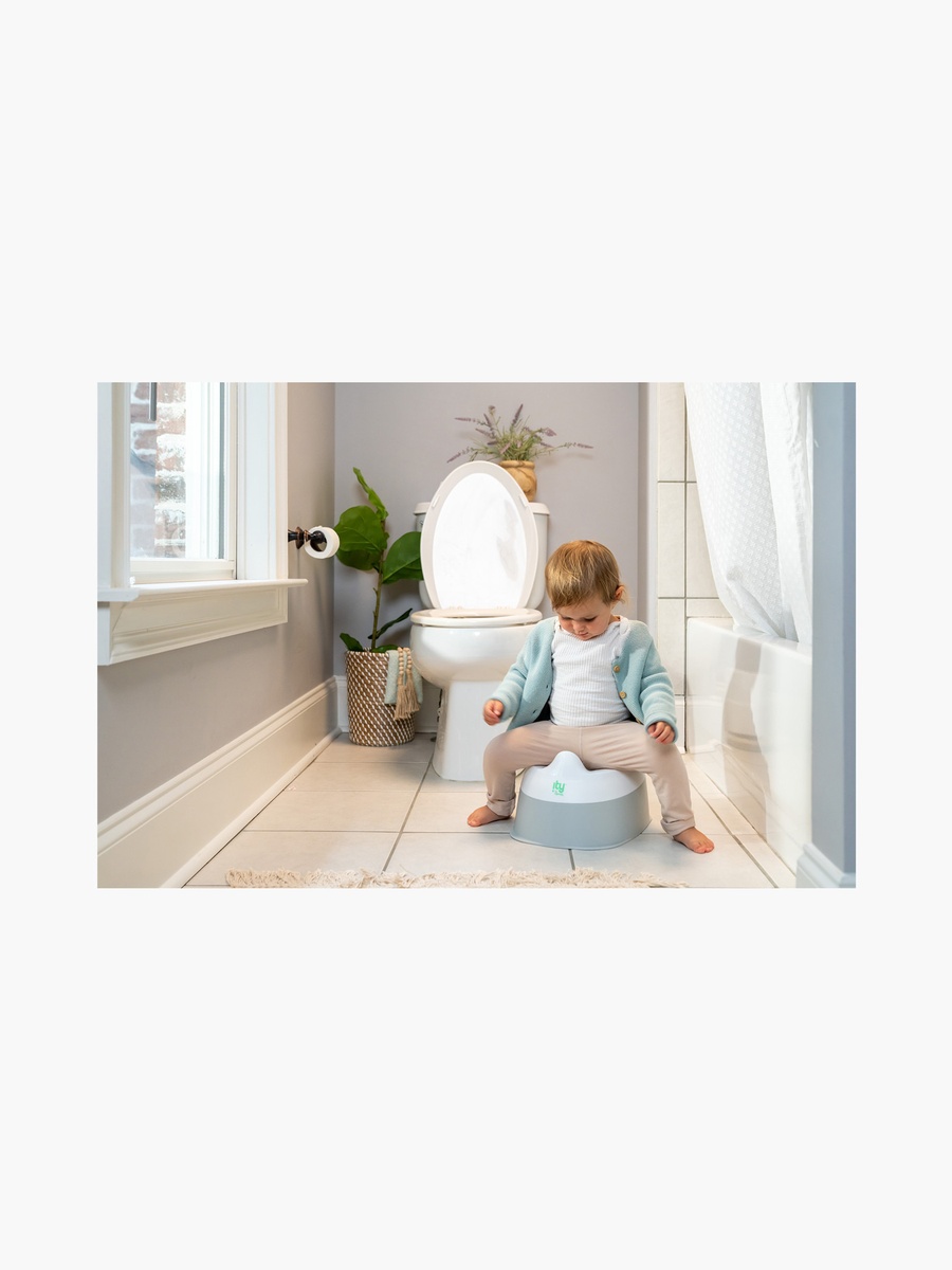 Ready Set Go Potty Training Toilet