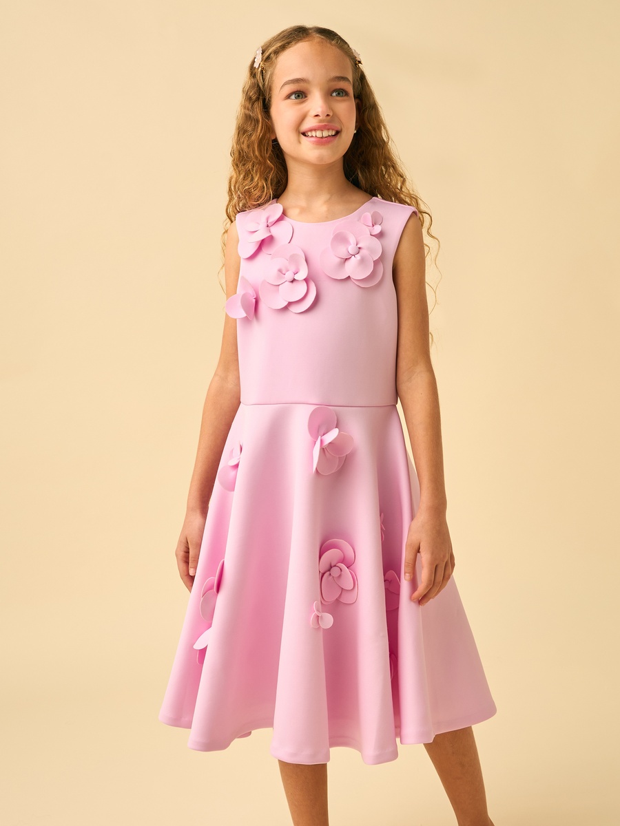 Round Neck Sleeveless Knee Length A-Line Dress with 3D Floral Applique