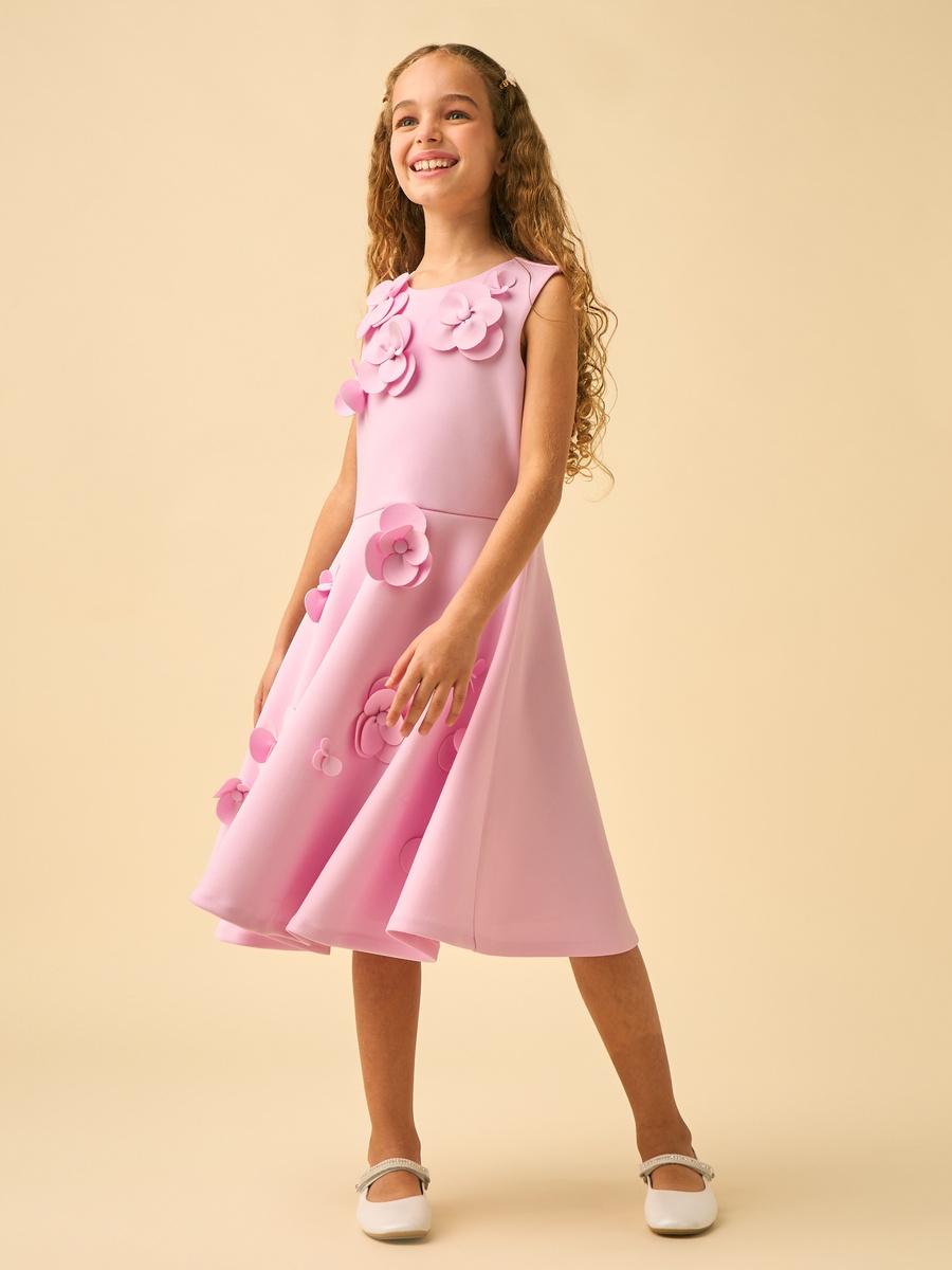 Round Neck Sleeveless Knee Length A-Line Dress with 3D Floral Applique