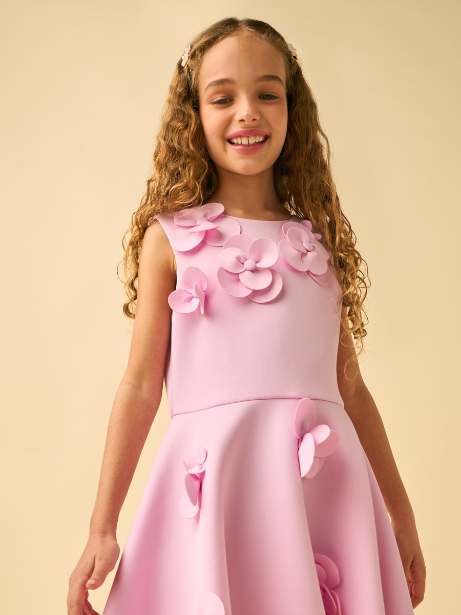 Round Neck Sleeveless Knee Length A-Line Dress with 3D Floral Applique