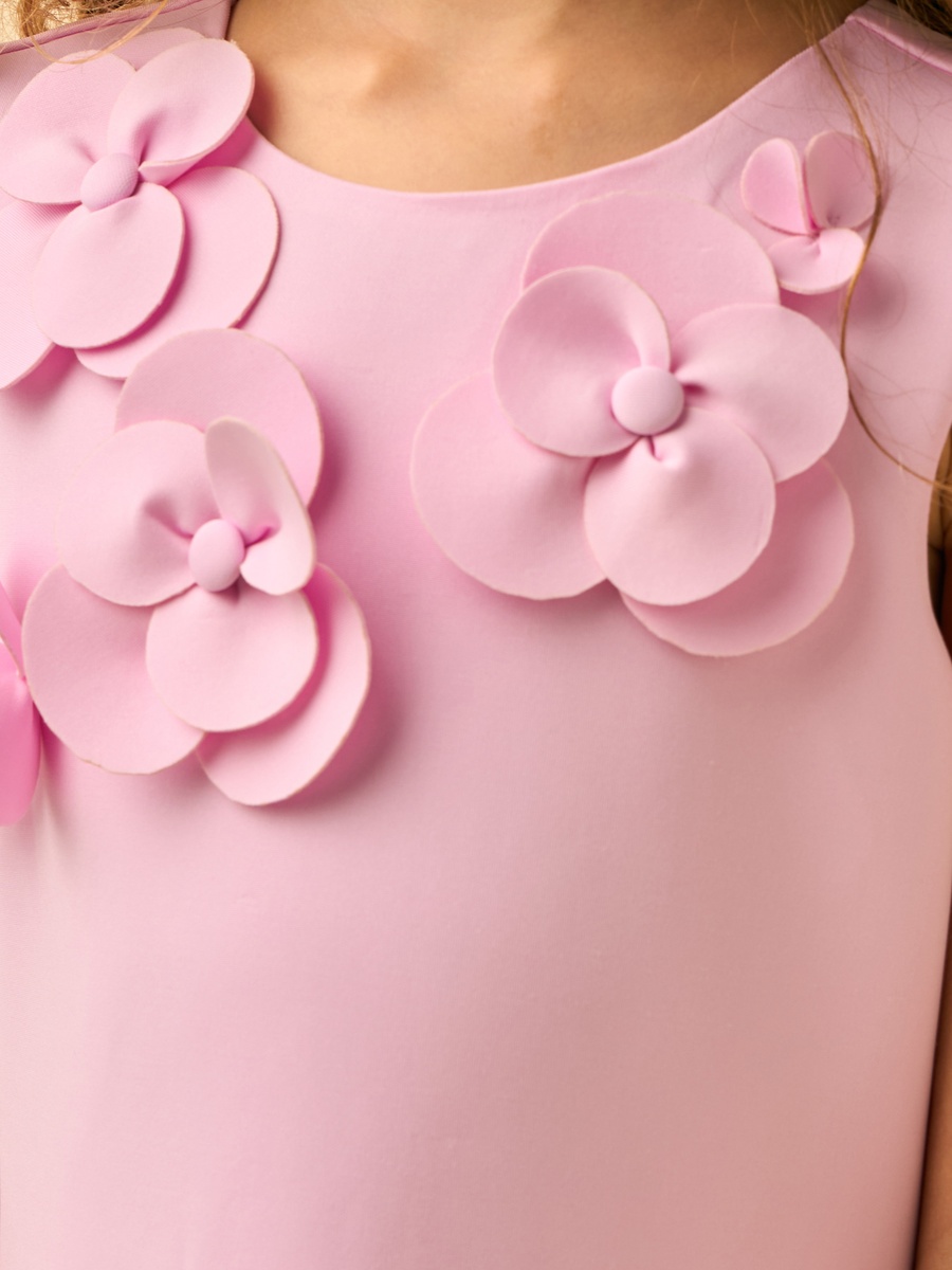 Round Neck Sleeveless Knee Length A-Line Dress with 3D Floral Applique