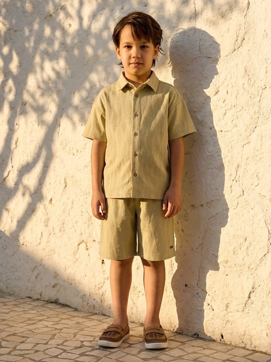 Collared Short Sleeves Shirt and Shorts Set with Textured Design