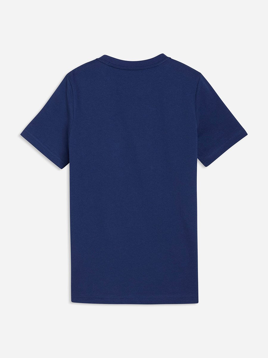 Kids Blue Graphic Print T-Shirt