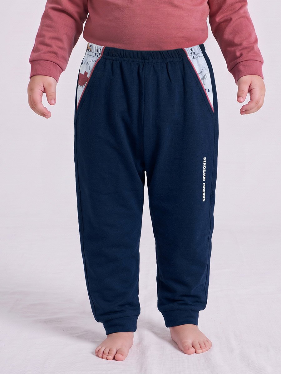 Baby Boy Dinosaur Friends Cotton T-Shirt and Joggers Set