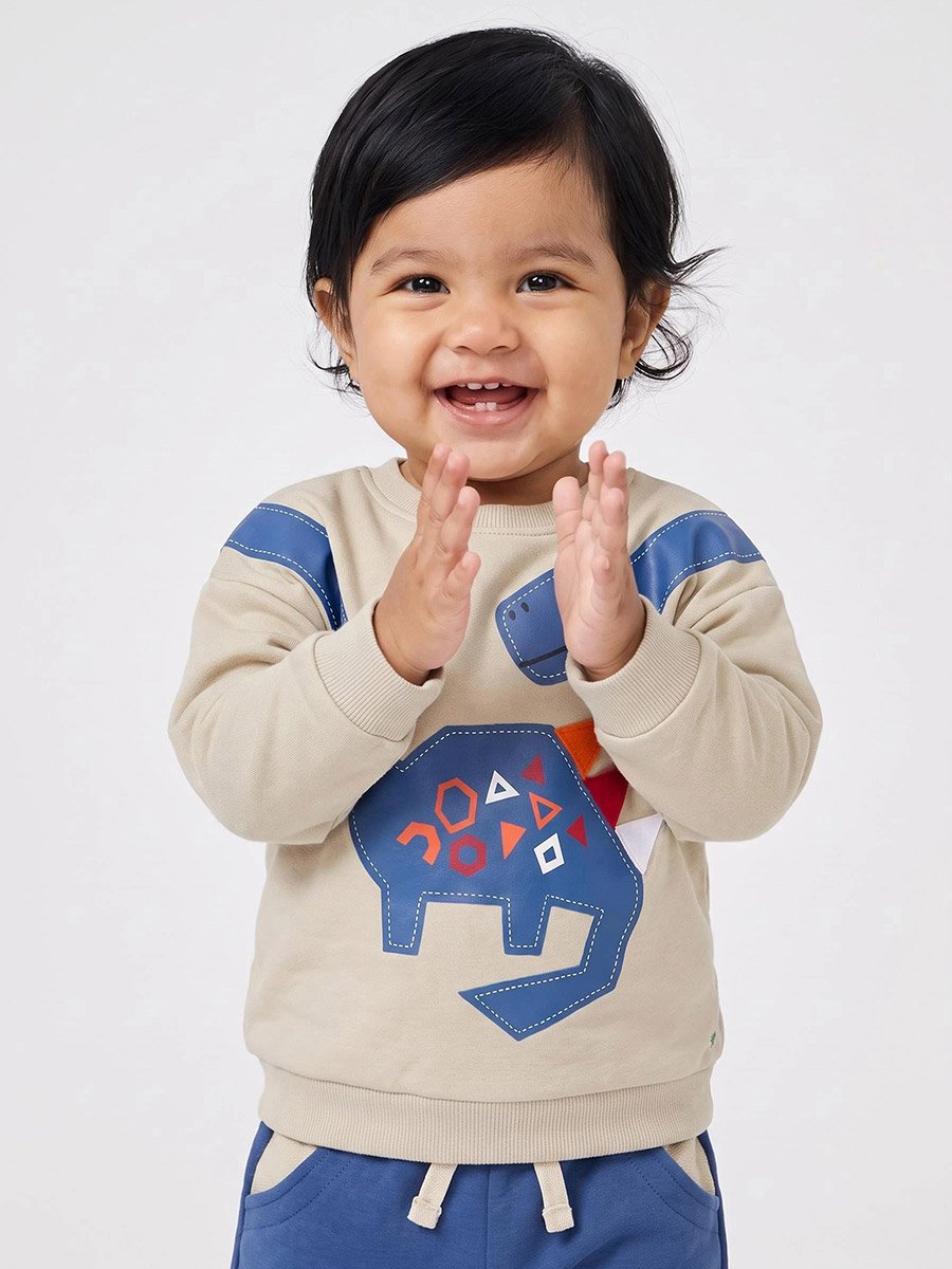 Baby Boy Cotton Dino Sweat Top and Joggers Set