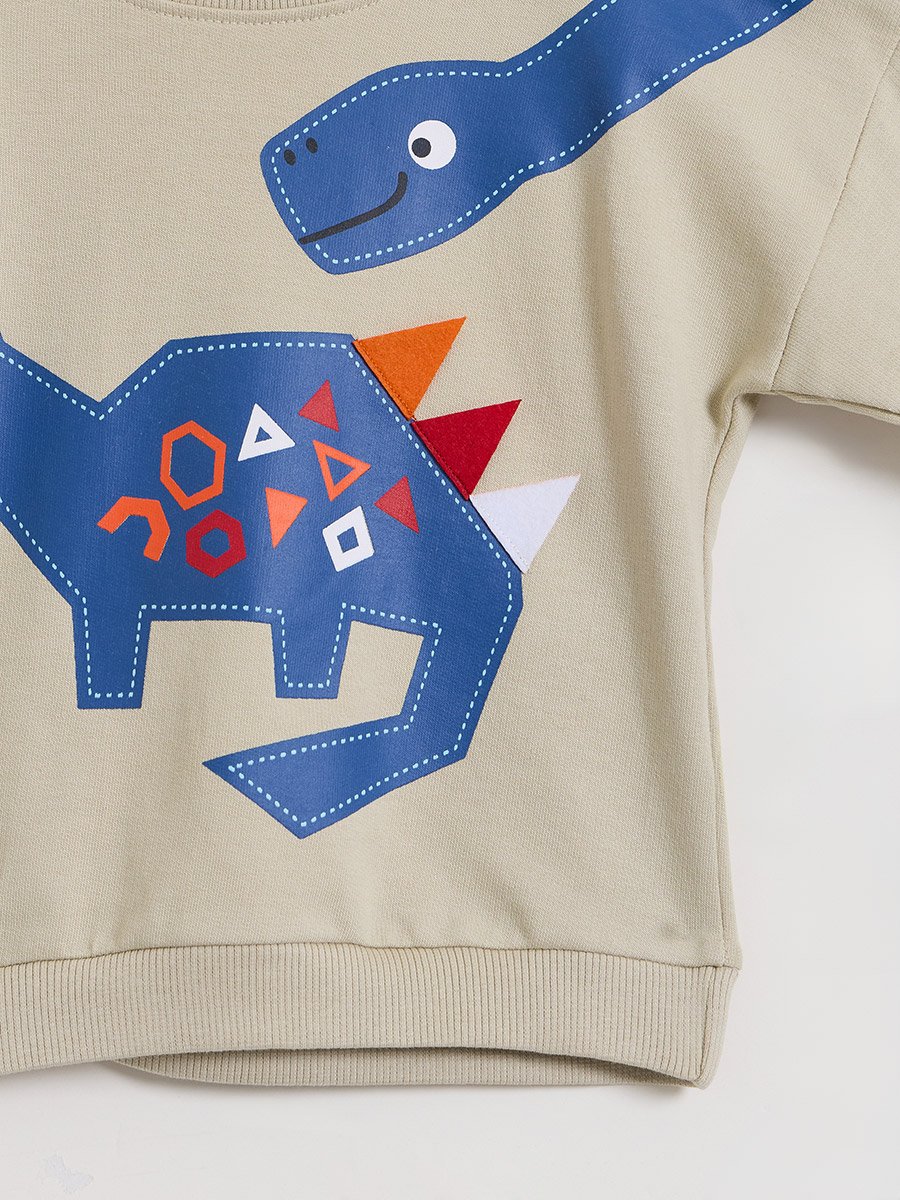 Baby Boy Cotton Dino Sweat Top and Joggers Set